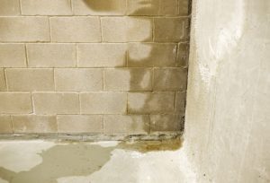 water seeping into the corner of a basement