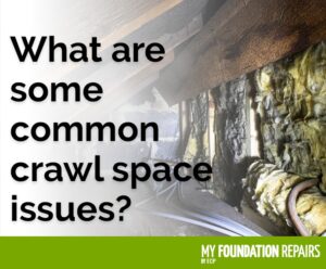 what are some common crawl space issues graphic