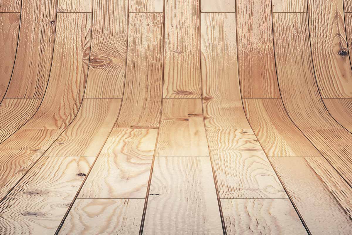 wood floor graphic