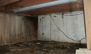 Moldy and dirty crawl space