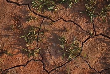Dry soil with lots of cracks
