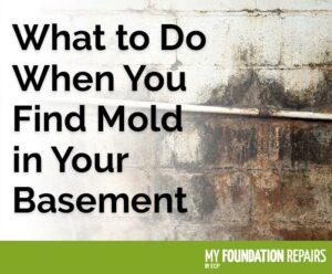 what to do when you find mold in your basement graphic